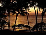 palm-cove-sunset.jpg